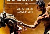 Le Festival du Cirque de Demain, découverte, innovation et émotion seront au rendez-vous !