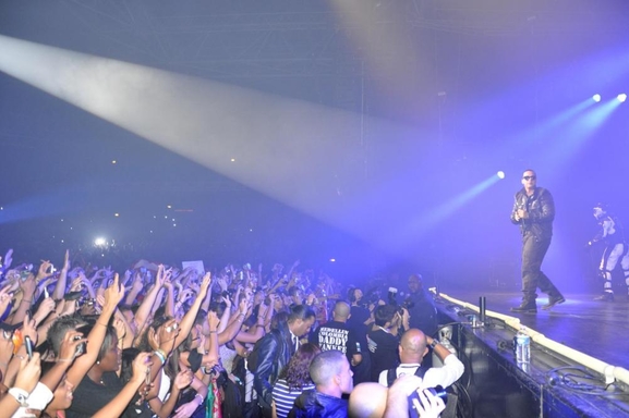 Casting.fr dans la peau d'un salsero au Concert de Daddy Yankee