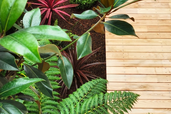 Corentin Pfeiffer le jardinier star des réseaux sociaux a écrit son premier livre "Des Pots, des Plantes et un beau jardin !" Aux éditions Larousse.