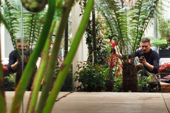 Corentin Pfeiffer le jardinier star des réseaux sociaux a écrit son premier livre "Des Pots, des Plantes et un beau jardin !" Aux éditions Larousse.