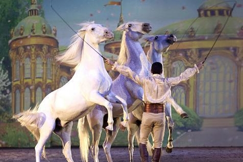 Spectacle "Together Forever" d'Apassionata à Paris Bercy !