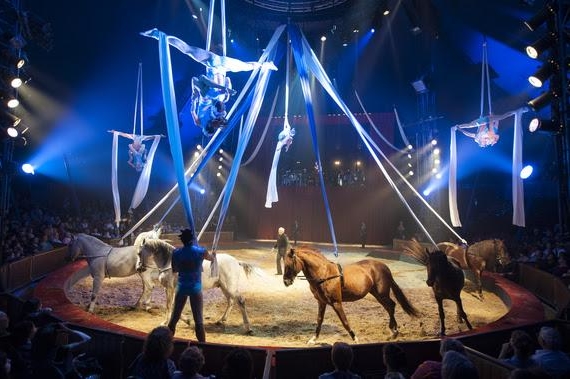 Découvrez le spectacle équestre et aérien d’Alexis Gruss : "Pégase et Icare"