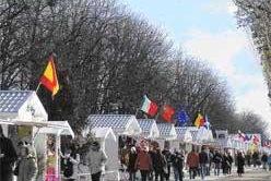 Émerveillez-vous sur les Champs Elysées !