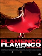 Gagnez des places pour le film "Flamenco Flamenco" !